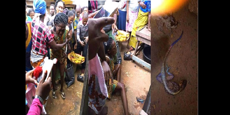 Une femme donne naissance à un lézard (photos)